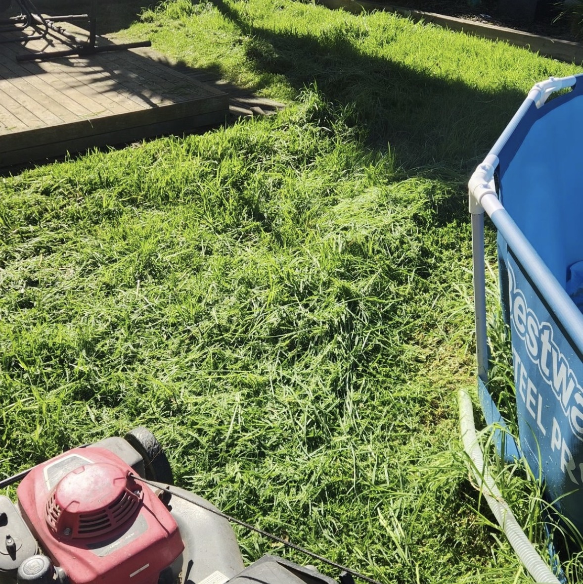Before mowing: long grass between a timber deck and above-ground pool